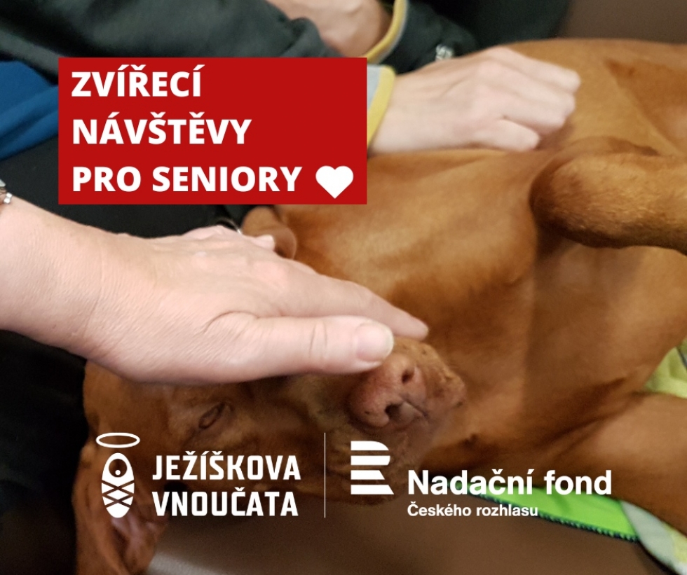 Zvířecí návštěvy potěší seniory v našem domově